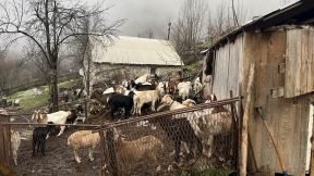 Ruskinja Tatjana doselila se u planinsko selo u Crnoj Gori (3).jpg