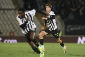 Partizan IMT  (4).JPG
