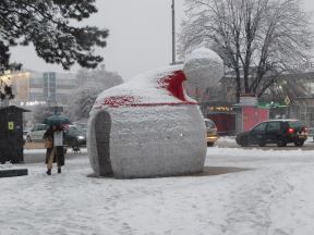 Loznica, sneg  (4).jpg