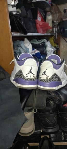 Miladin Nikolic (2).jpg