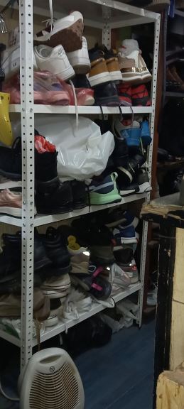 Miladin Nikolic (4).jpg