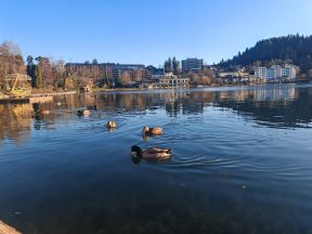 IMG_20241221_145646.jpg