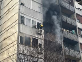 1735745215_cacak-z_pozar-fotorina3.jpg