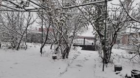 Vranje na udaru snežnih padavina