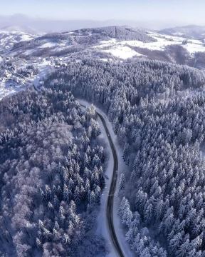 planina Javor (1).jpg