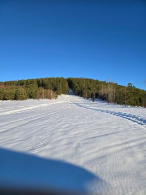 planina Javor (3).jpg