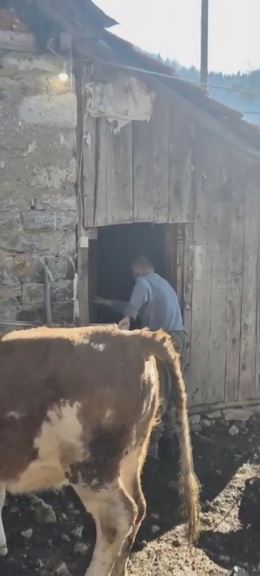 Zoran Bataković (4).jpg