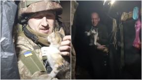 ukrajinski vojnici sa mačkama