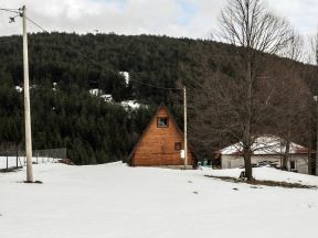 goč_planina_stefan_stojanović_6.jpg