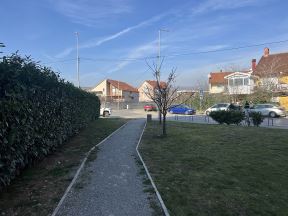 1739106955IMG_3731.jpeg