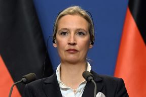 12815148.jpg
