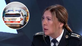 Nestala devojčica iz Uba i Bojana Otović Pjanović