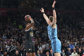 Partizan - Alba (6).jpg