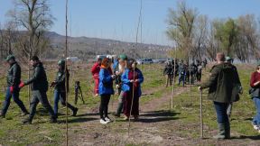 Zasadi drvo 12.jpg
