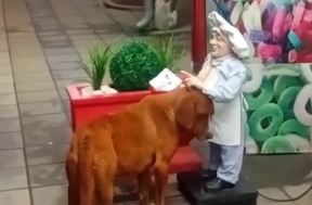 Pas se mazi o reklamu