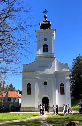 Brankovina (2).jpg