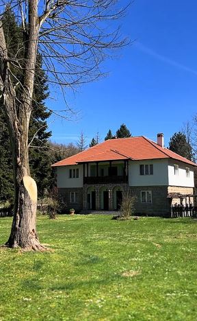 Brankovina (3).jpg