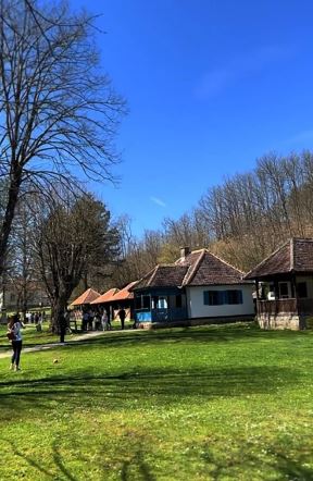 Brankovina (4).jpg