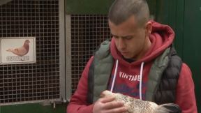 luka privatni zoo vrt