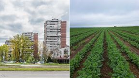 Stan, zemljište, njiva, Novi Beograd, blokovi