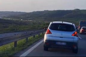 2262148.jpg