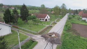 Rode u Miločaju kod Kraljeva (1).jpg