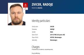 Radoje Zvicer 3.jpg