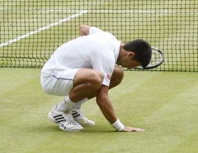 Novak Đoković Vimbldon 2015 4.jpg