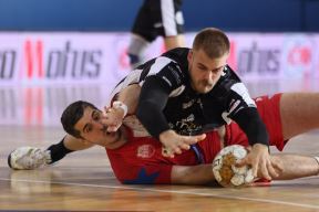 Vojvodina - Partizan (5).JPG