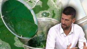 Novak Đoković spirulina alga