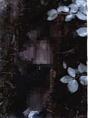 Fotografije pokojnog Ljubomira Lainovića (3).jpg