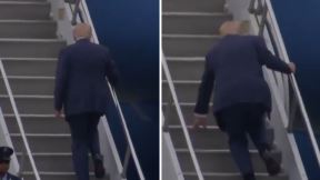 Tramp.jpg