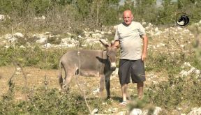Mladić čuva 1000 koza (4).jpg