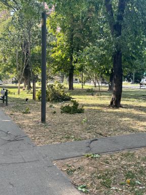 Nevreme u Beogradu (3).jpg