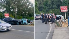Udes Obrenovac