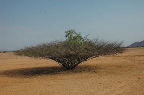 iona national park 2.jpg