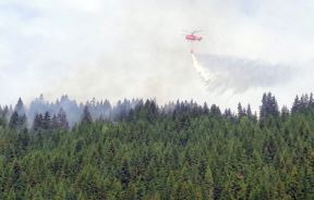 Požari u Srbiji (4).jpg