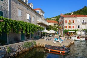 Rose, Luštica (9).jpg