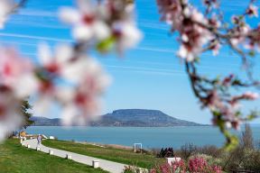 jezero balaton (1).jpg