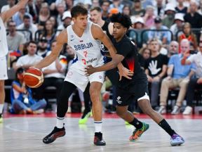 Bogdan Bogdanović