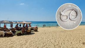 plaža zmija.jpg