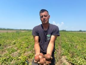 Krompir, Dejan Vučković