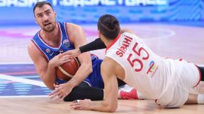 Nikola Milutinov protiv Turske