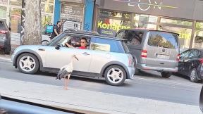 Roda na Dorćolu