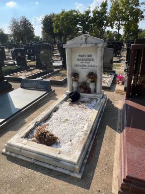 Ovako danas izgleda grobnica Slađane Milošević (3).jpg