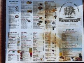 Fig tree plaza na Kipru (3).jpg