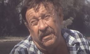 Pavle Vuisić