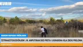 Vršnjačko nasilje u Nišu (4).jpg