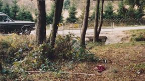 Zejnep Ubijena devojčica 2.jpg