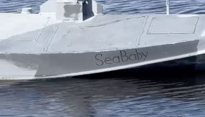 Seababy (3).jpg